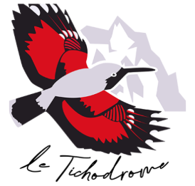 Réalisation du kit de com du Tichodrome